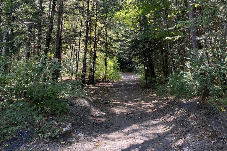 Forest variant of the 3 bridges loop via Les Essoulieux and Bassey - Hiking from Le Bourg-d'Oisans image1