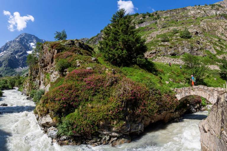 Refuge de la Lavey, Vallon de la Muande image2