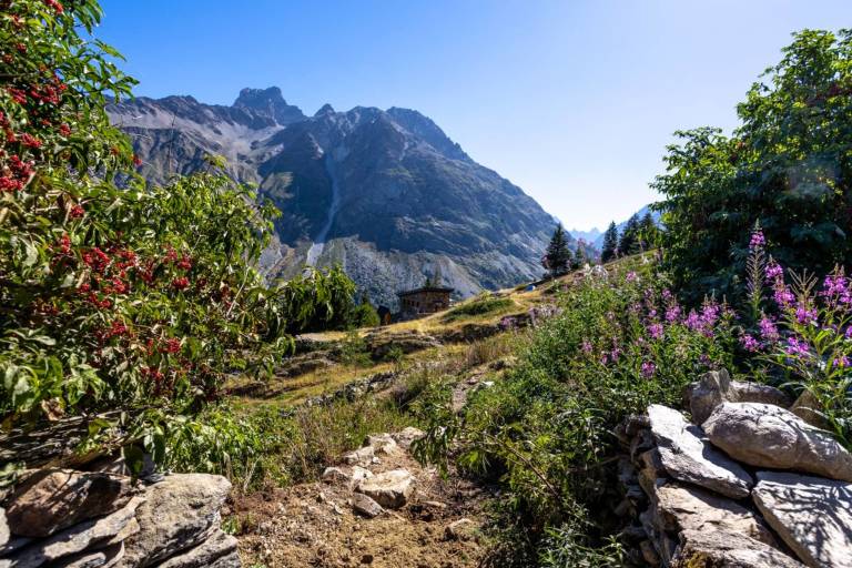 Travers des lacs par l'Alpe du Pin - Mountainside crossing between the lakes via the Alpe du Pin refuge image1
