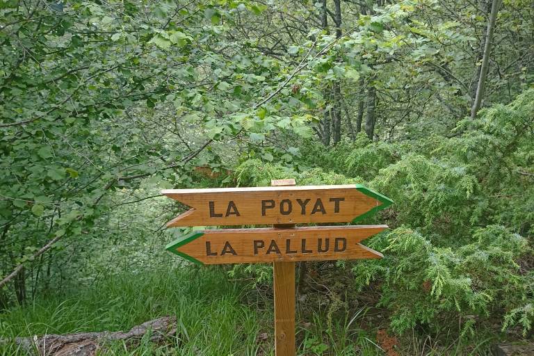 Randonnée de la Palud au Col d'Ornon image2