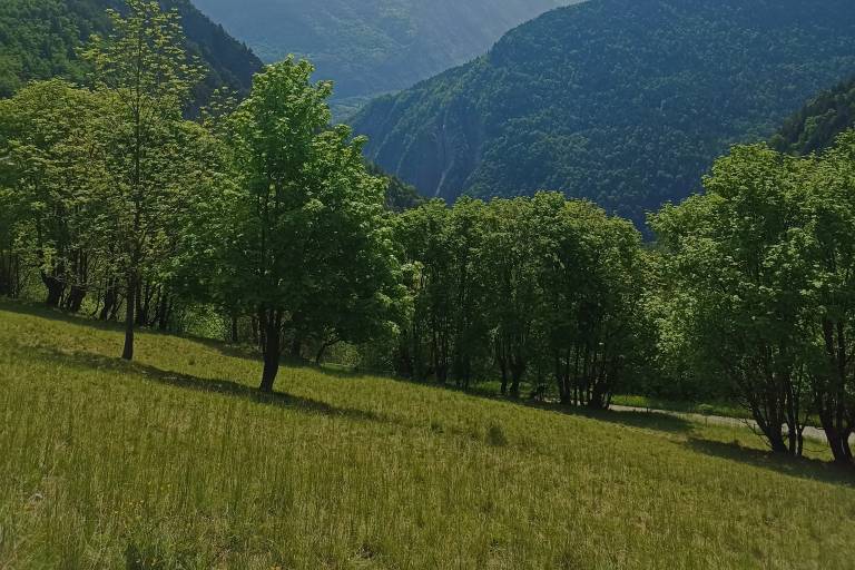 Chemin historique d'Oulles - Randonnée depuis la Paute (Bourg-d'Oisans) image1