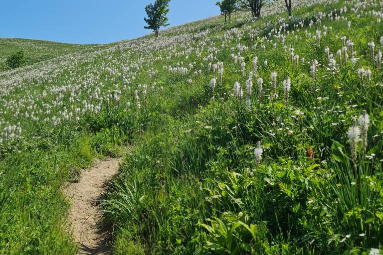 Ornon à Villard-Reymond par le col de Corbière - Rando image2