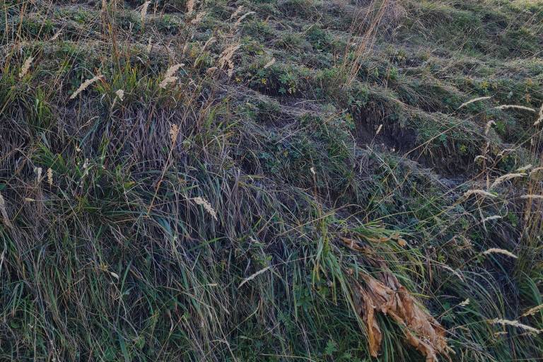 Les lacs du plateau d'Emparis - Randonnée depuis Besse-en-Oisans image2