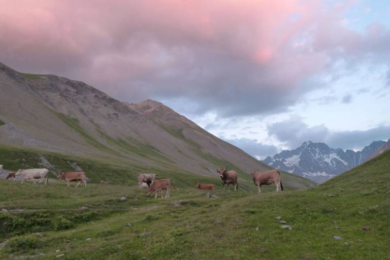 La Boucle du Plan de l'Alpe image1