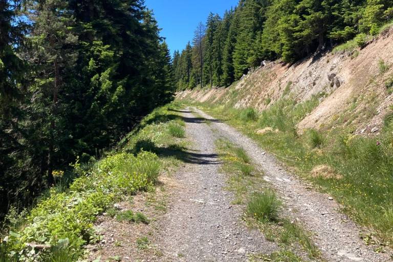 Auris - Piégut - Rando AR image2