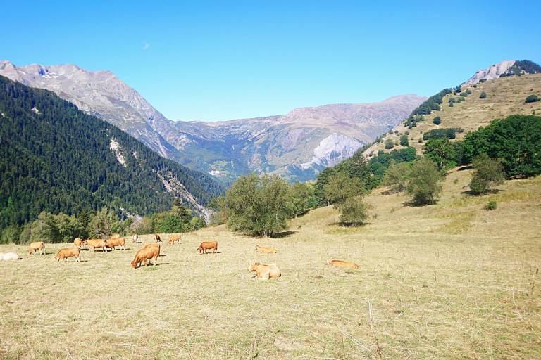Cyclo - Villard-Reymond image1