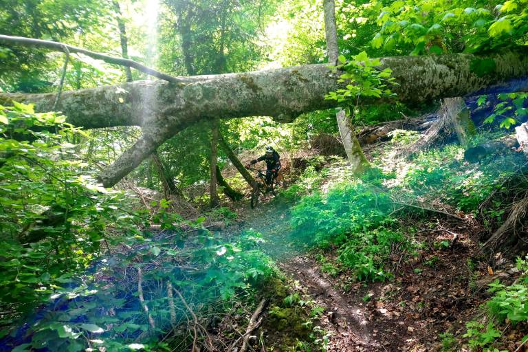 Le chemin de Malaine image2