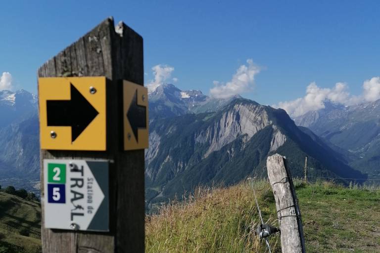 La Forêt de l'Ours  - n°2 - Vert image1