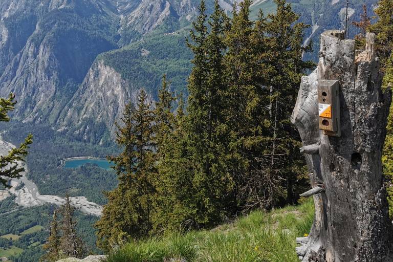 Auris - Parcours d’orientation patrimoine ADULTE -Station d'Auris image2