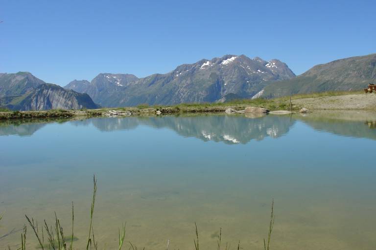 Parcours d'orientation patrimoine naturel image2