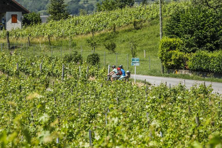Cycling itinerary: Lake Saint-André loop image2