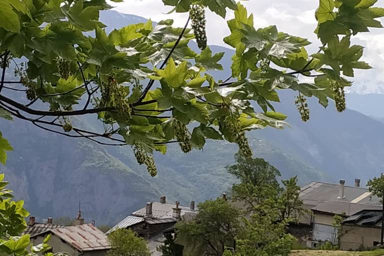 Sentiers les Couleurs du Temps : Boucle du Thyl à la Traversaz image2