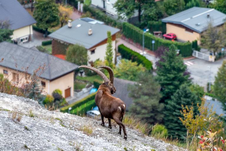 Le Pas du Roc / Sur le Poingt image2
