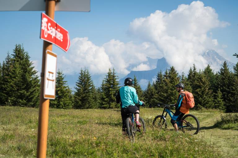 La Sapinière (22) - Piste de descente VTT image1