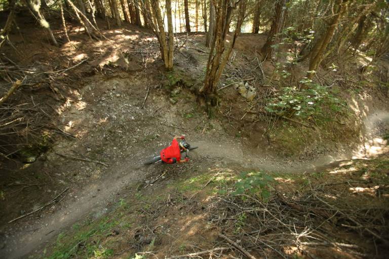 The Wood (28) - Piste de descente VTT image2