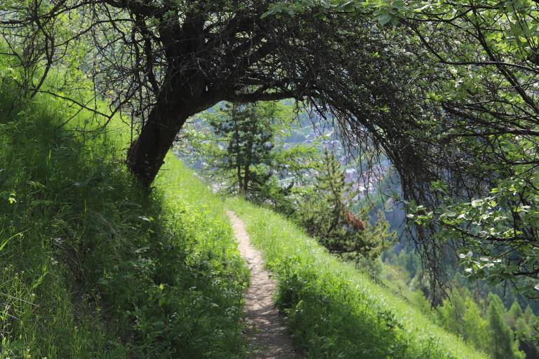 Boucle les Gorges de l’Enfer par Poingt Ravier - Itinéraire de trail image2