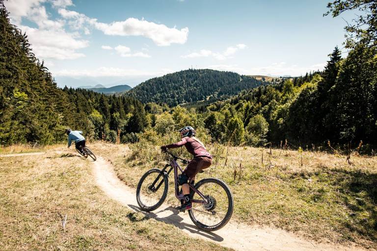 Bike Park / VTT de descente (DH) image2