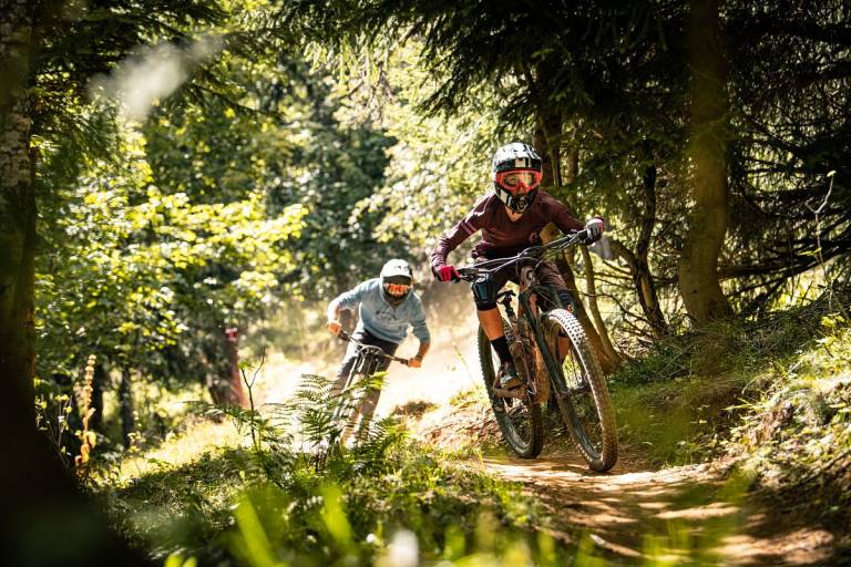 Bike Park / VTT de descente (DH) image1