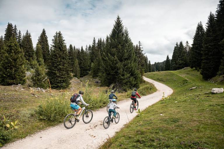 Piste VTT FFC verte 1 - La Féclaz image1