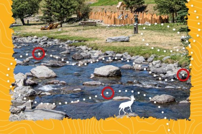 Parcours d'orientation Ludique image1