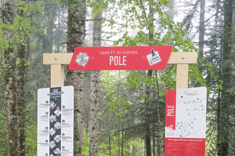 Mountainbike-Piste Downhill - rot - Pole - Espace Ain Forestière image2