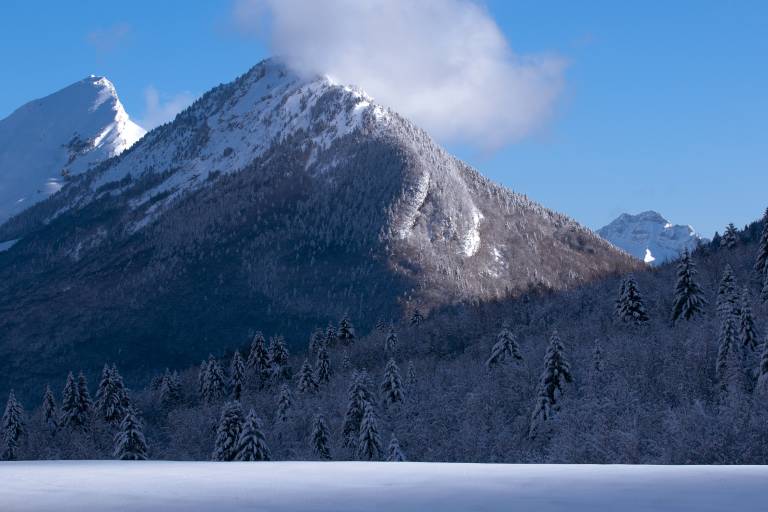 Snowshoeing treks 'Le Cernay' image1