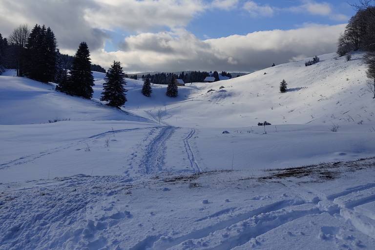 The Trapper's snowshoeing trail image1