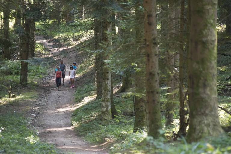GR®9, Jura-Méditerranée en Val Guiers image2