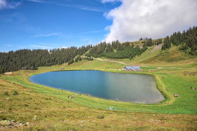 Airon lake and alpine pasture image2