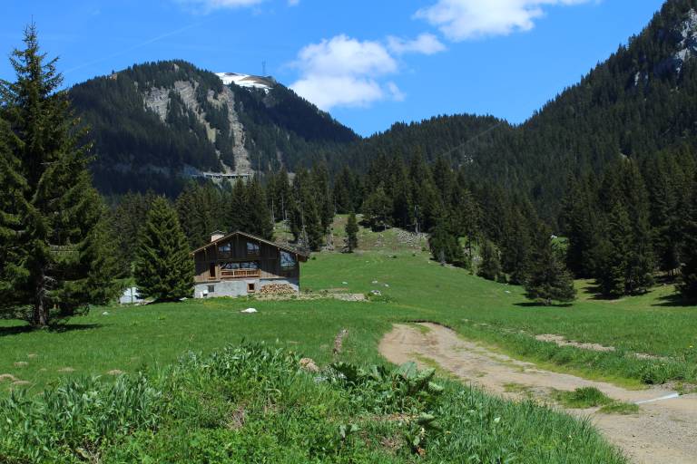 Les Molliets to Haute Combe and Sarbotte image2