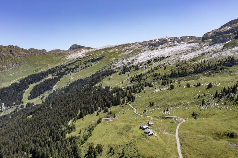 Boucle pédestre : L'alpage et son histoire image2