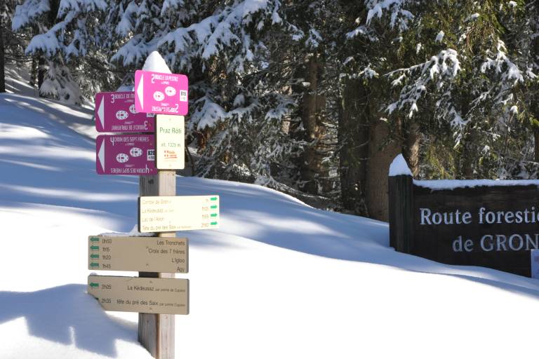 # 3  -Malatrait loop image1