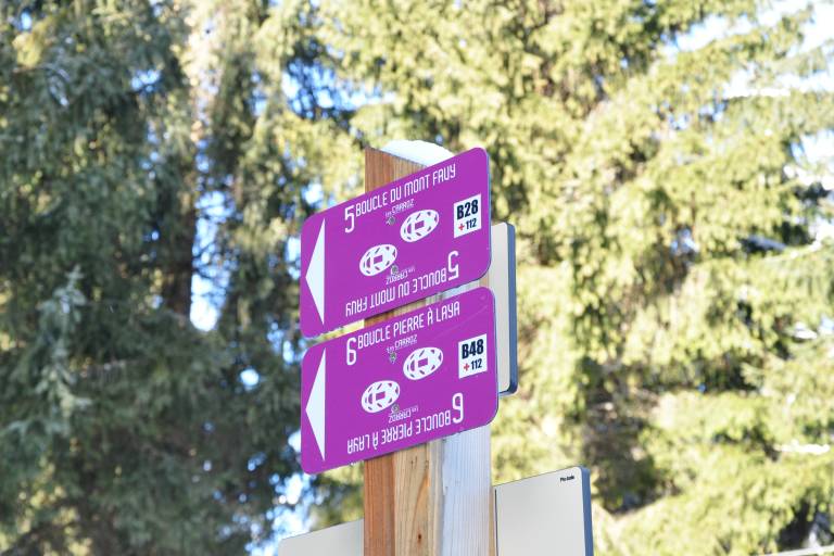 "La Pierre à Laya" loop N° 6 image1