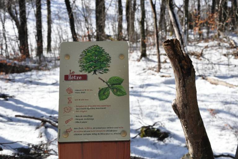 "La Pierre à Laya" loop N° 6 image2