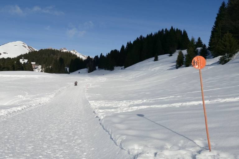 Itinéraire Fatbike : La boucle de Molly image2