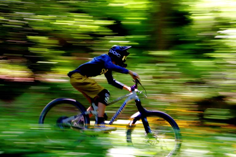 Piste VTT descente - bleu - Vino Rosso - Espace Ain Forestière image1