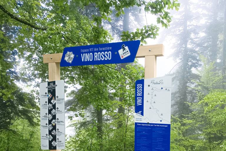 Piste VTT descente - bleu - Vino Rosso - Espace Ain Forestière image2