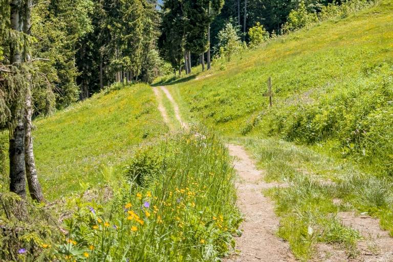 Du Bettex au Plateau de la Croix image1