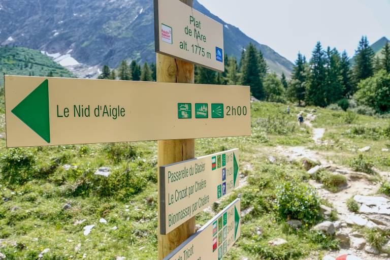 Le Nid d'Aigle from Bionnassay image2