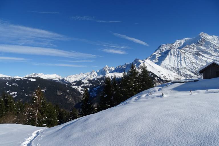 Itinéraire raquettes - Plateau de la Croix / Porcherey image1
