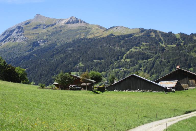 In the footsteps of the first Guides image2