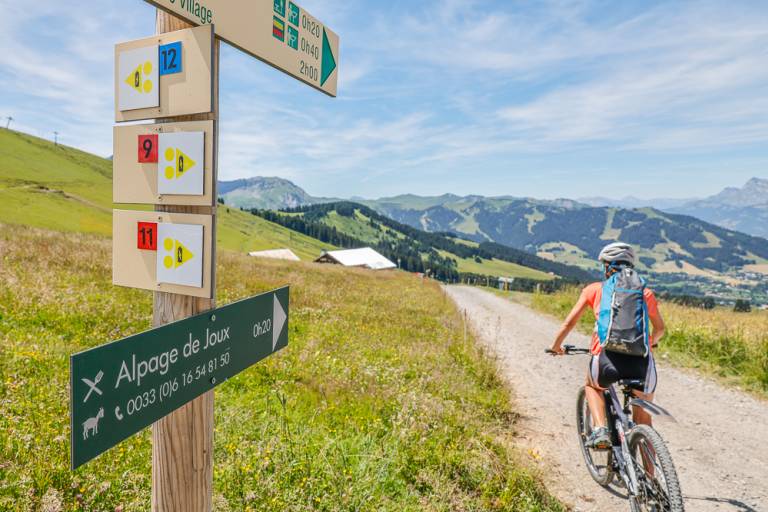 Parcours VAE n°12 _ Lac de Joux - BLEU image2