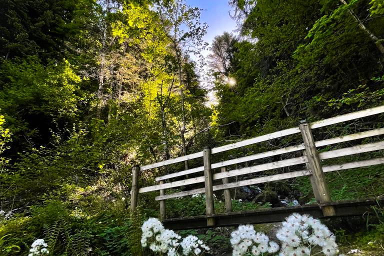 Boucle Cheminée des fées en passant par le Berchat image2