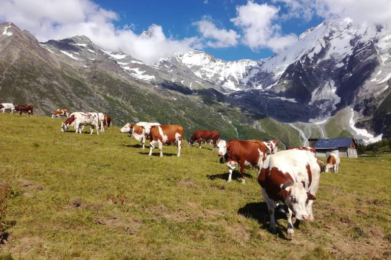 Itinéraire Gourmand - La Miage image1