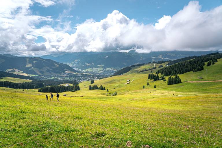 Le Lac de Joux depuis le Mont d'Arbois image2