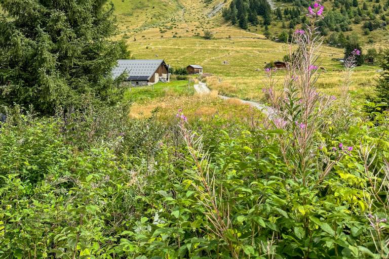 Le Col de Tricot au départ de la Gruvaz image1