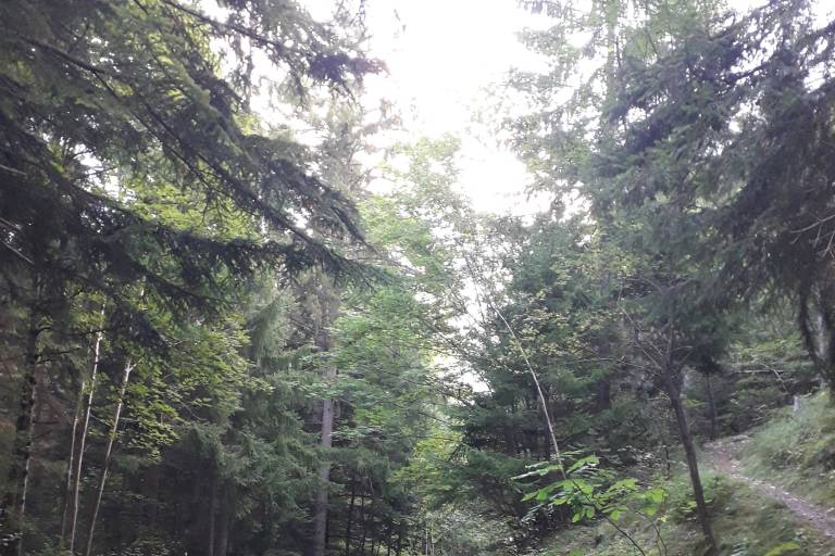 Ornon - Randonnée depuis Le Bourg d'Oisans image1