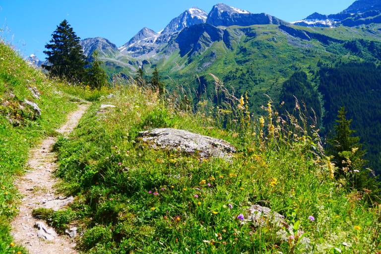 Itinéraire pédestre : L'Alpage de Froide Fontaine image2