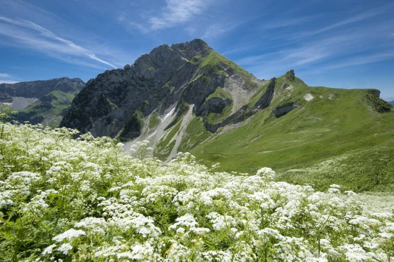 Mount Trélod image2