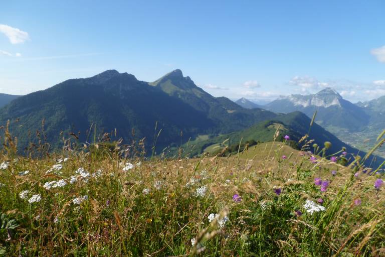 Le mont Morbié et le mont Pelat en aller-retour image2